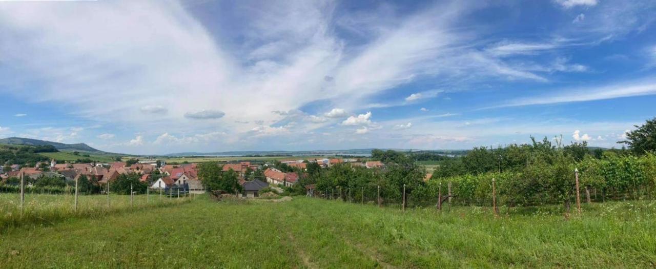 Prázdninový dům na Pálavě Milovice  Esterno foto